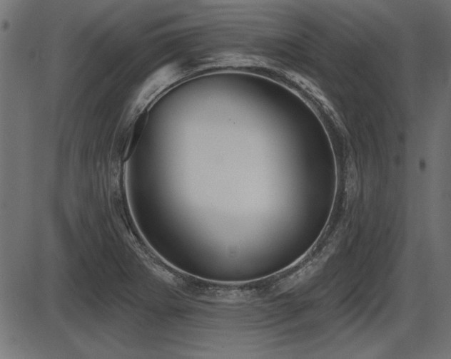 X0000087631273200705031436