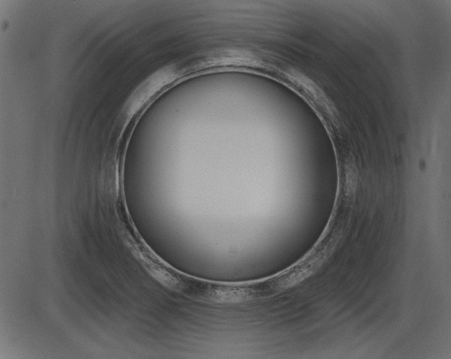 X0000087631274200705031436