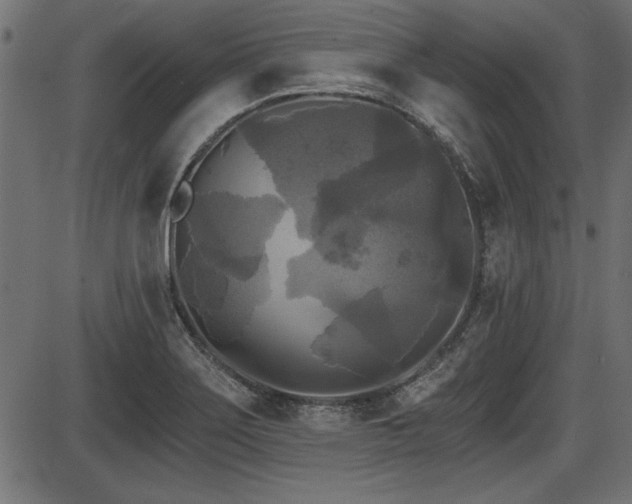 X0000087631275200705031436