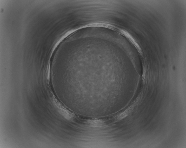 X0000087631276200705031436