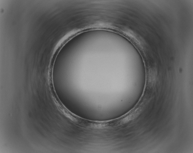 X0000087631278200705031436