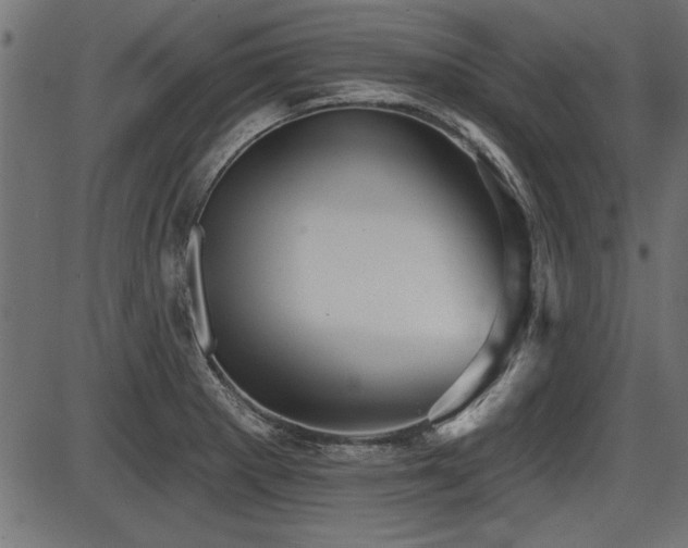 X0000087631281200705031436