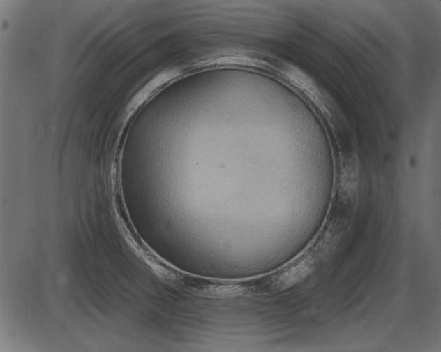X0000087631282200705031436