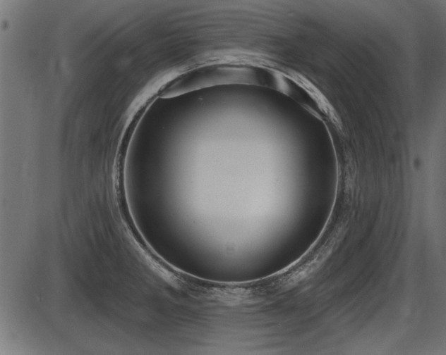 X0000087631285200705031436