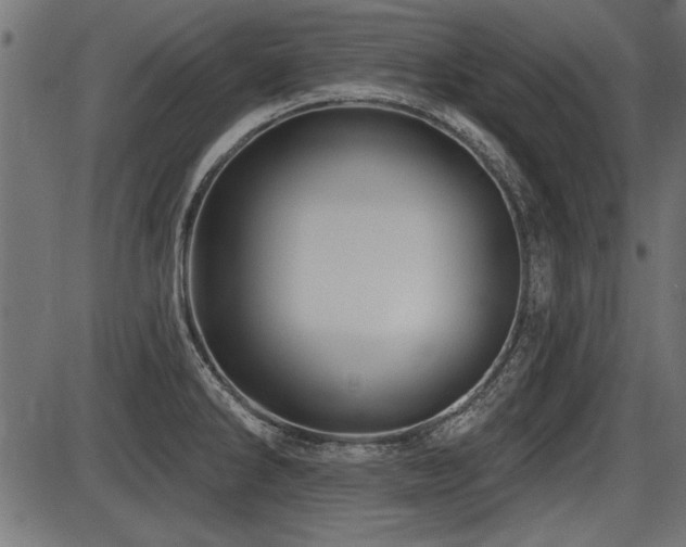 X0000087631286200705031436