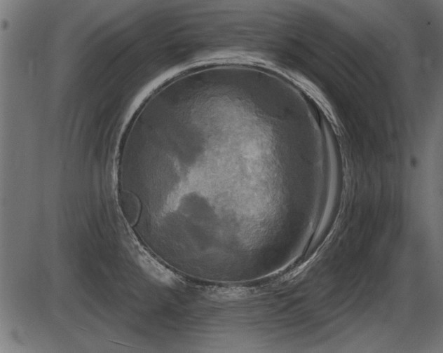 X0000087631288200705031436