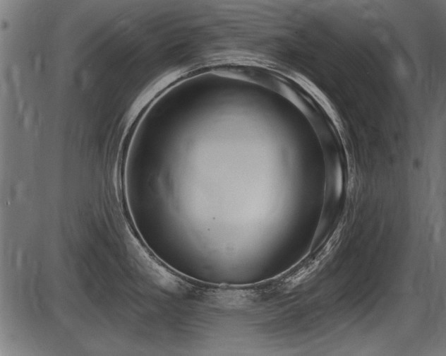 X0000087631293200705031436