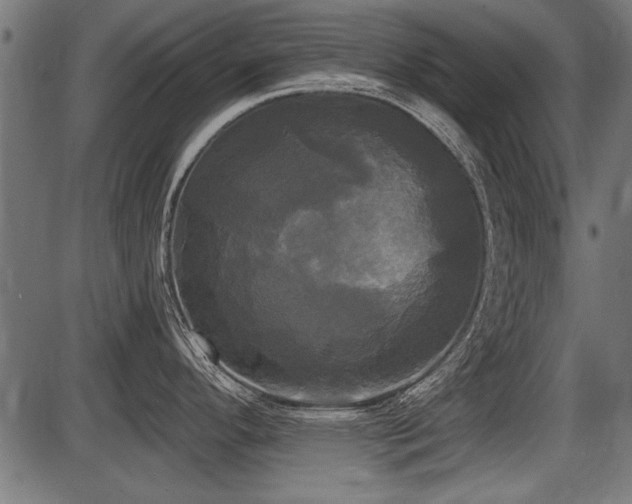 X0000087631296200705031436