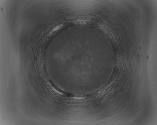 X0000087631297200705031435