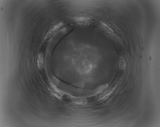 X0000087631298200705031435