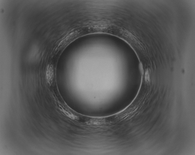 X0000087631299200705031435