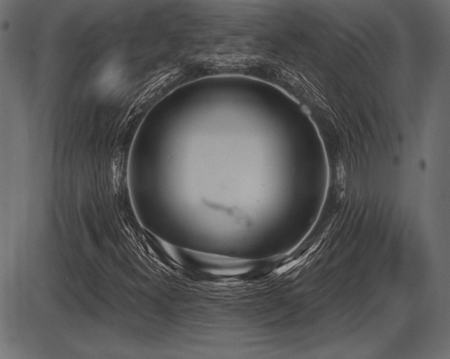 X0000087631300200705031435