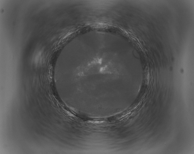 X0000087631301200705031435