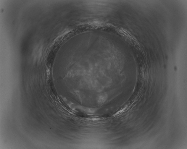 X0000087631302200705031435