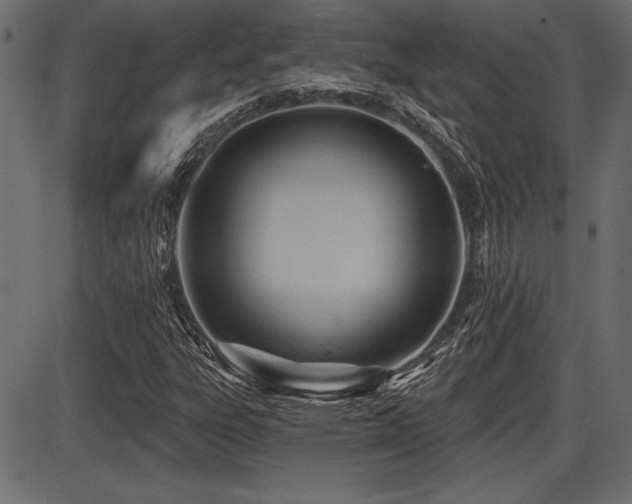 X0000087631303200705031435