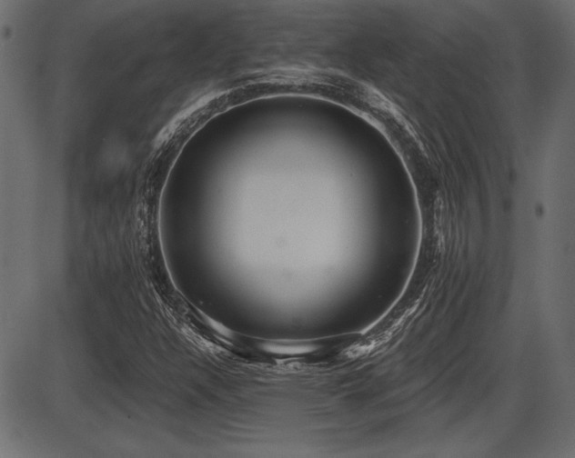X0000087631304200705031435