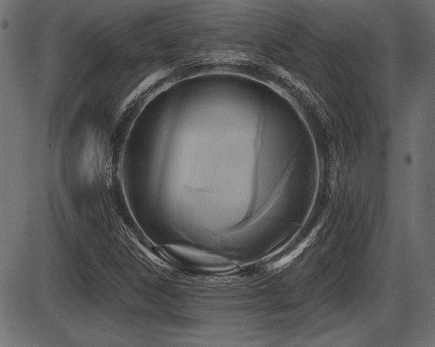 X0000087631306200705031435