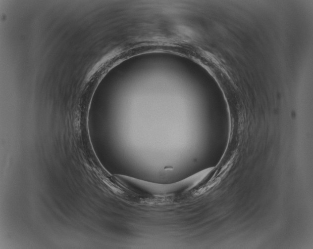 X0000087631307200705031435