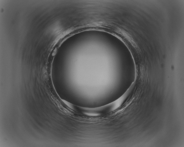 X0000087631308200705031435