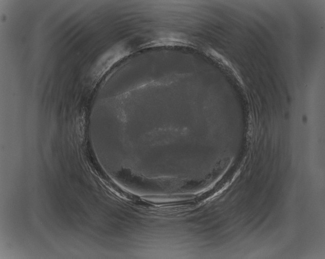 X0000087631313200705031435