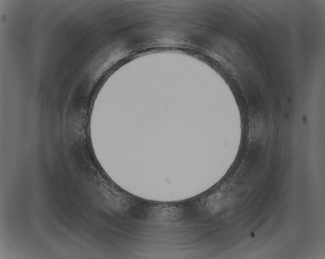 X0000087631314200705031435