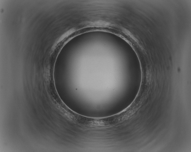 X0000087631315200705031435