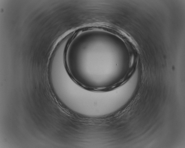 X0000087631316200705031435