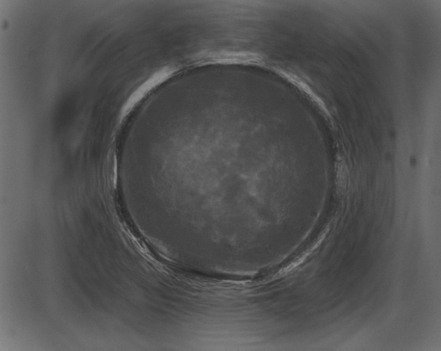 X0000087631317200705031435