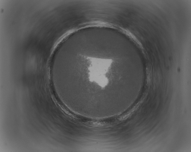 X0000087631318200705031435
