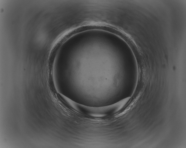 X0000087631319200705031435