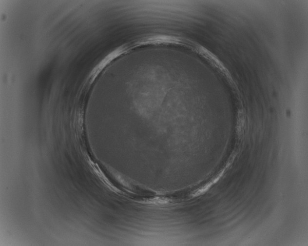 X0000087631321200705031435