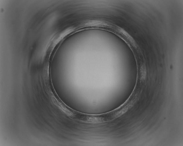 X0000087631322200705031435