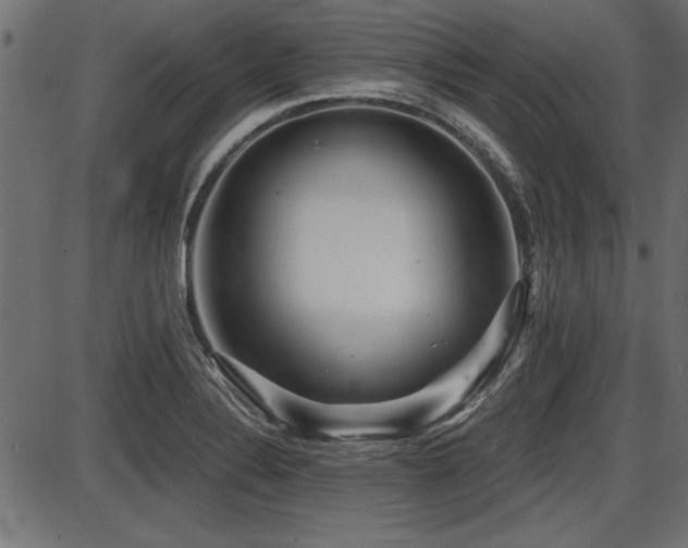 X0000087631324200705031436