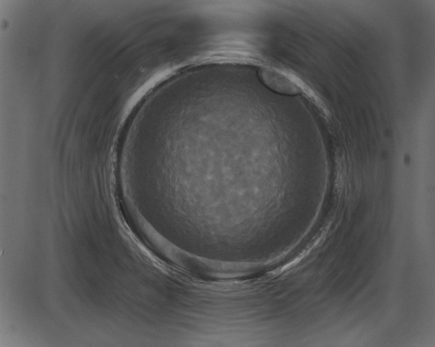 X0000087631325200705031436