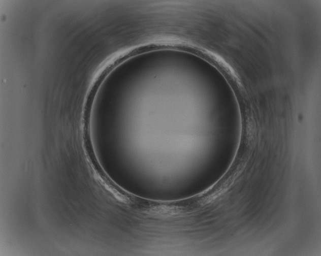 X0000087631327200705031436