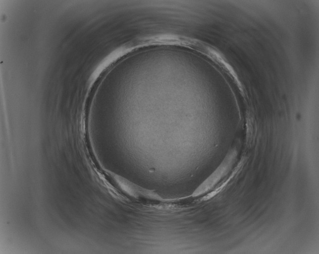 X0000087631328200705031436