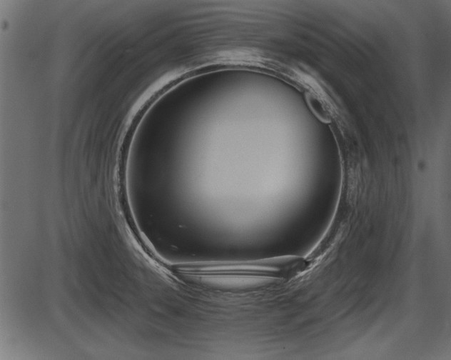 X0000087631331200705031436