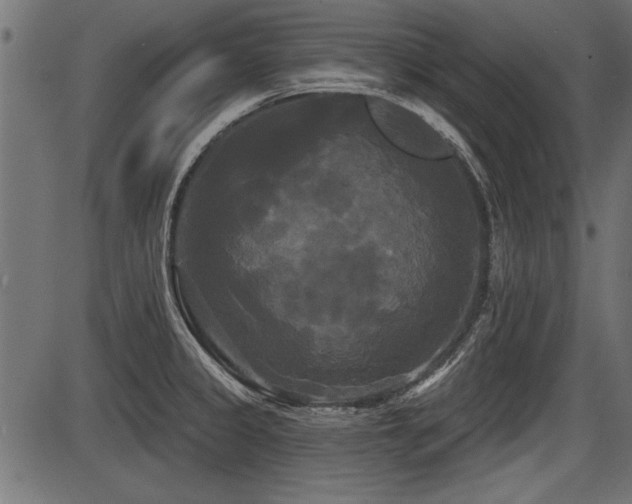 X0000087631333200705031436
