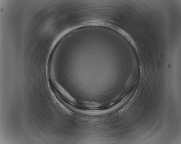 X0000087631334200705031436