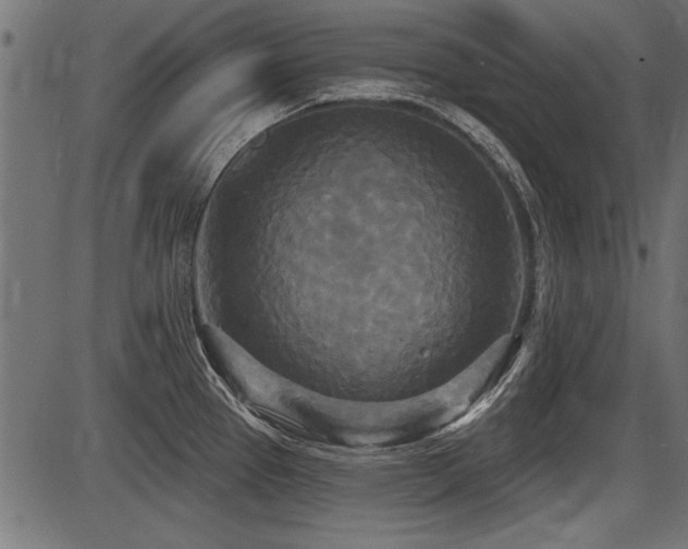 X0000087631337200705031436