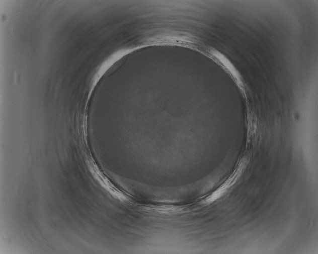 X0000087631340200705031436