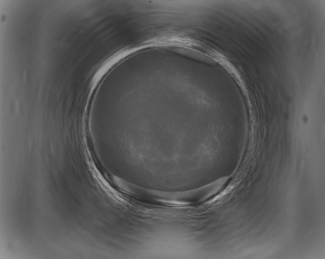 X0000087631344200705031436