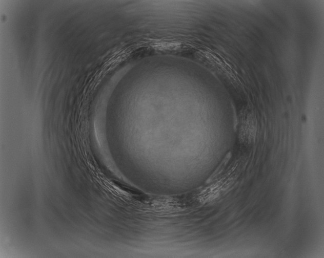 X0000087631345200705031435