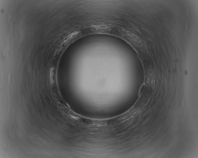 X0000087631346200705031435