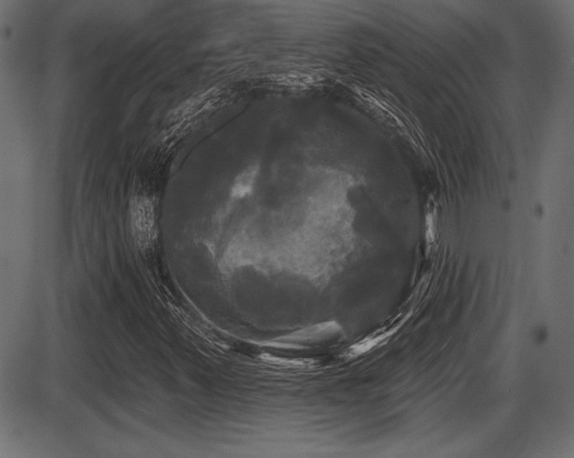 X0000087631347200705031435