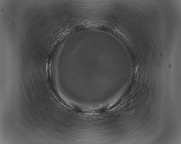 X0000087631348200705031435