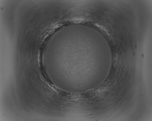 X0000087631349200705031435