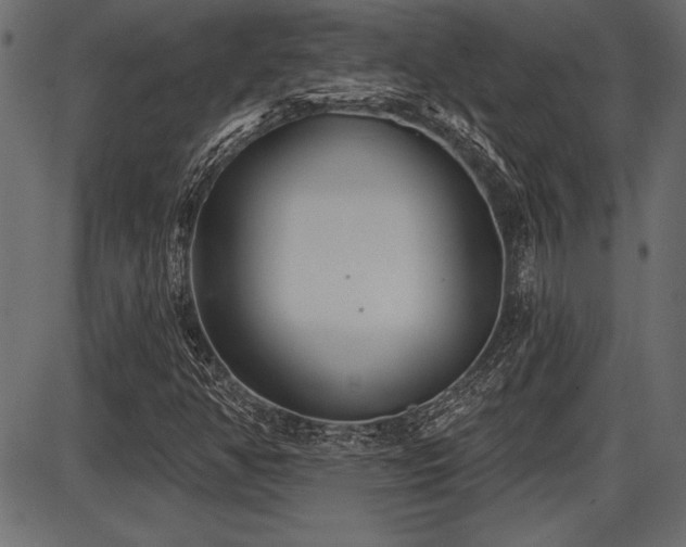 X0000087631350200705031435