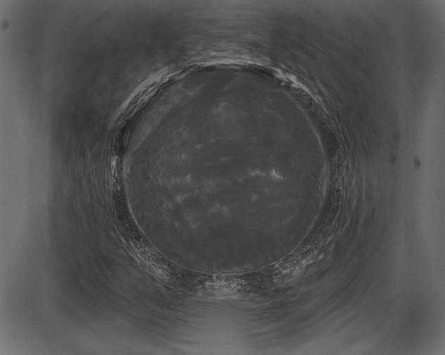 X0000087631351200705031435