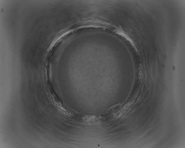 X0000087631352200705031435